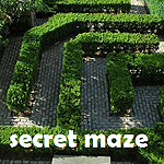 Secret Maze Badge