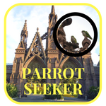 Parrot Seeker Badge